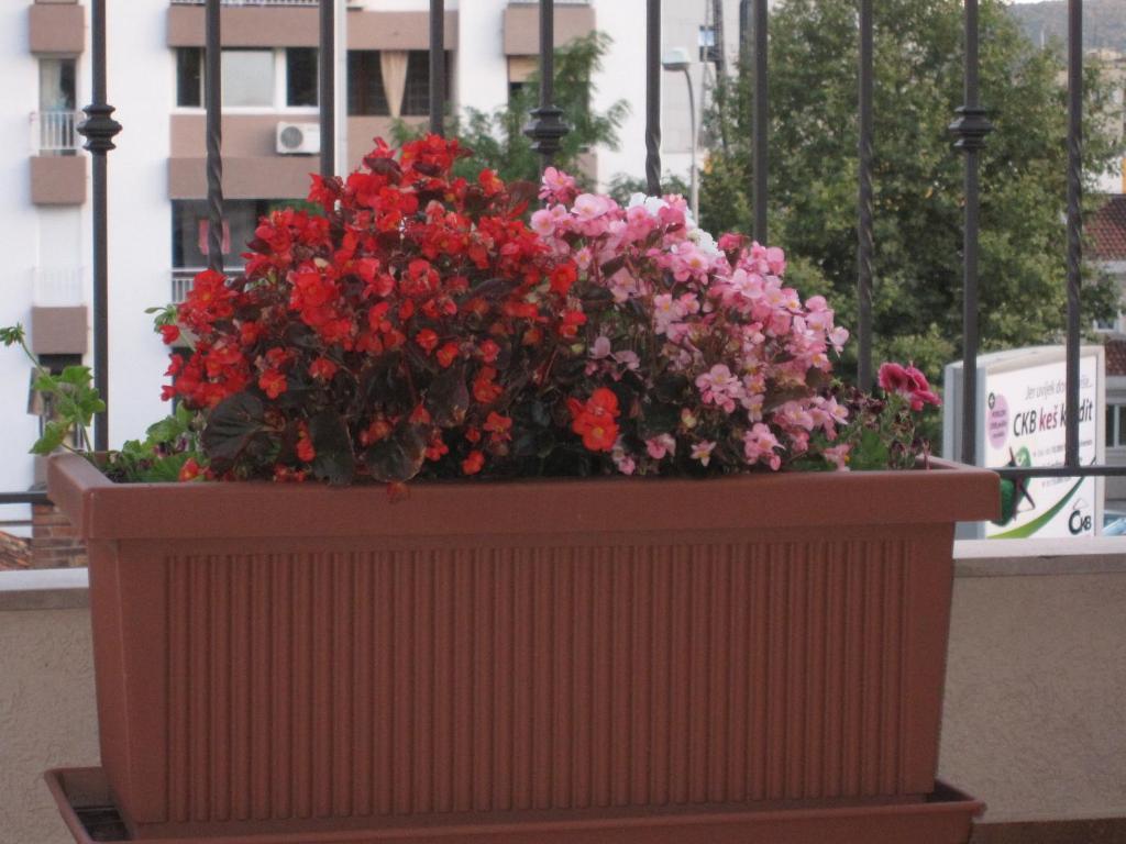 Apartments City Center 티바트 외부 사진